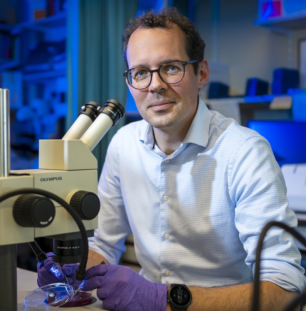 Profile photo Ewout Groen