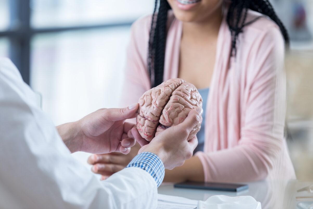 A care provider shows a model of a brain to a patient.