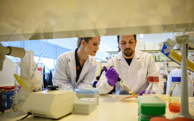 Two researchers doing research in a laboratory