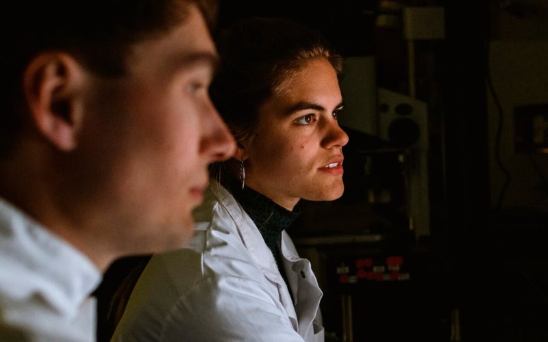 Researchers performing an computer analysis