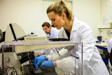 Renée Maas studying cardiomyocytes