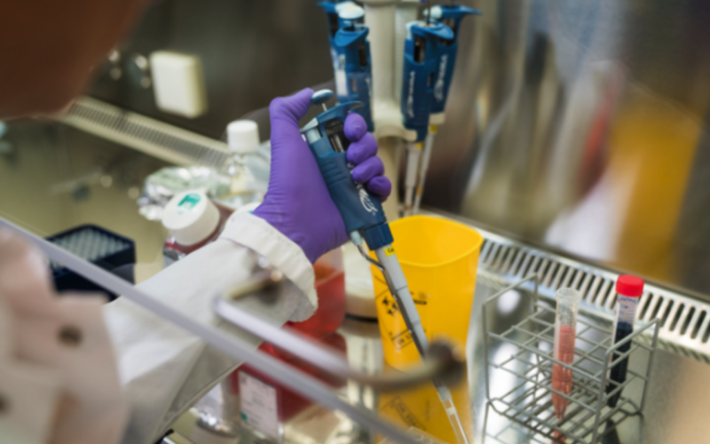 Researcher does research in the laboratory.