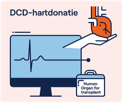 DCD-heart donation