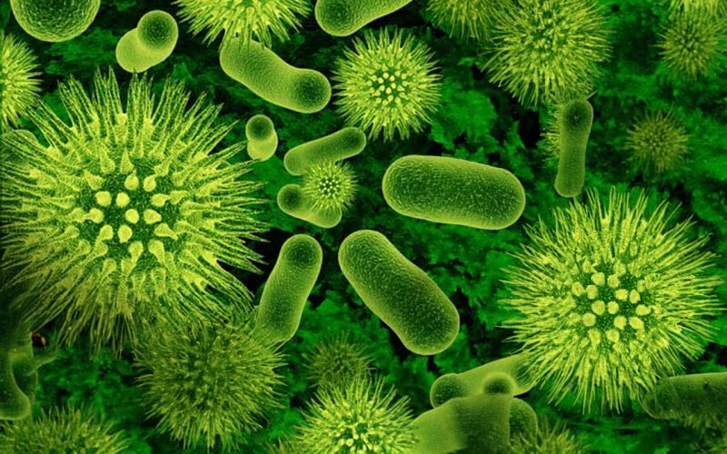 Host-microbe interaction