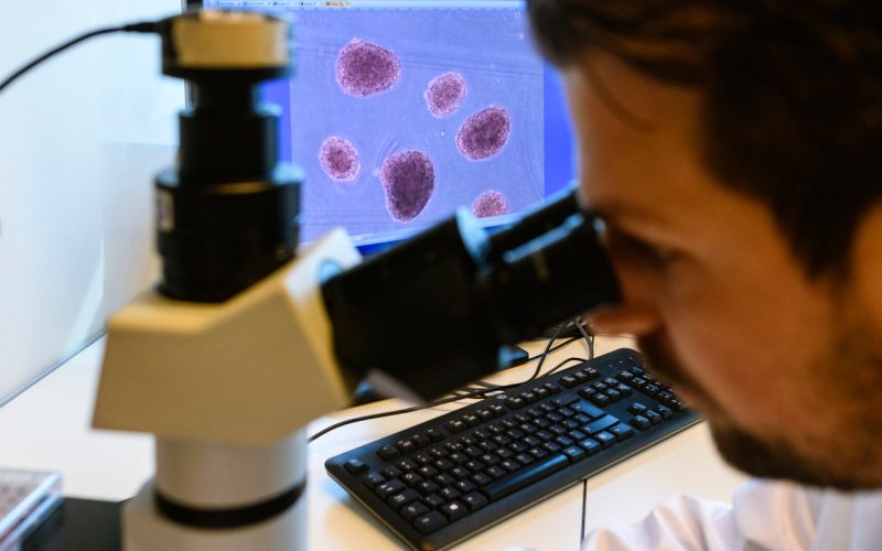 Researcher looking through microscope