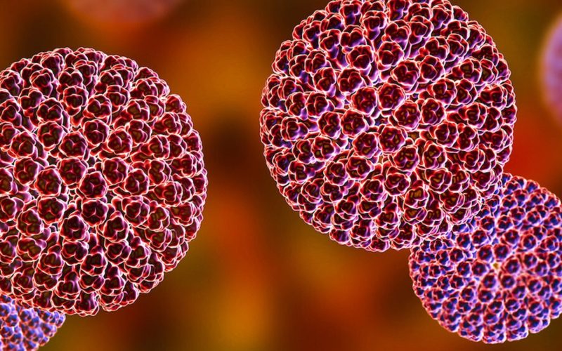 Illustration of the Rotavirus