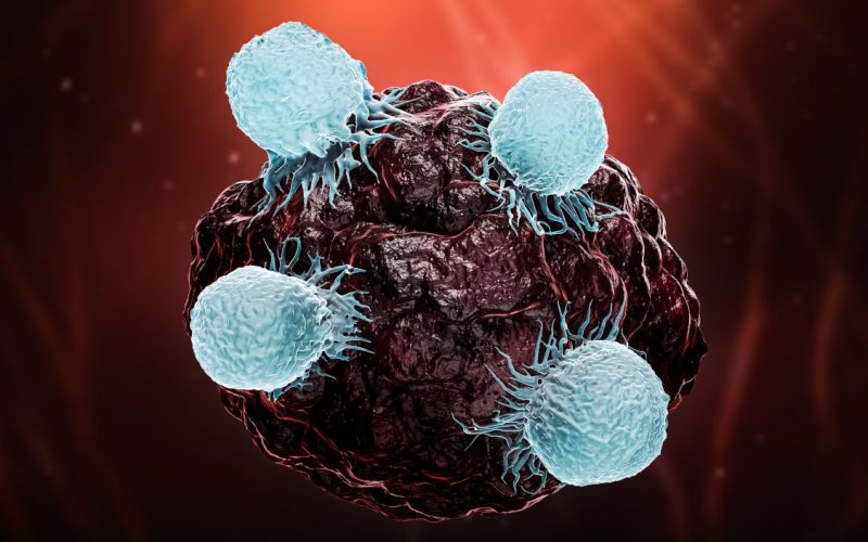 Cancer cells surrounded by T-cells
