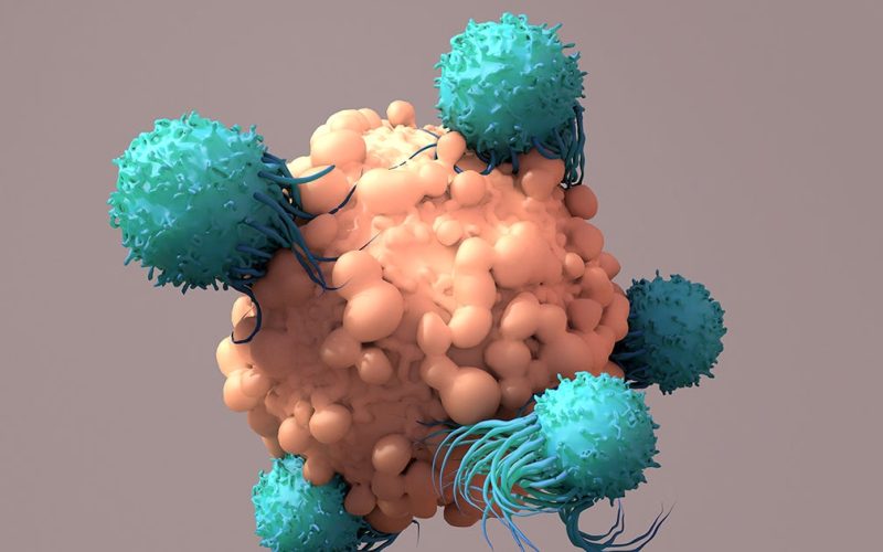 Illustration of a tumor cell with immune cells