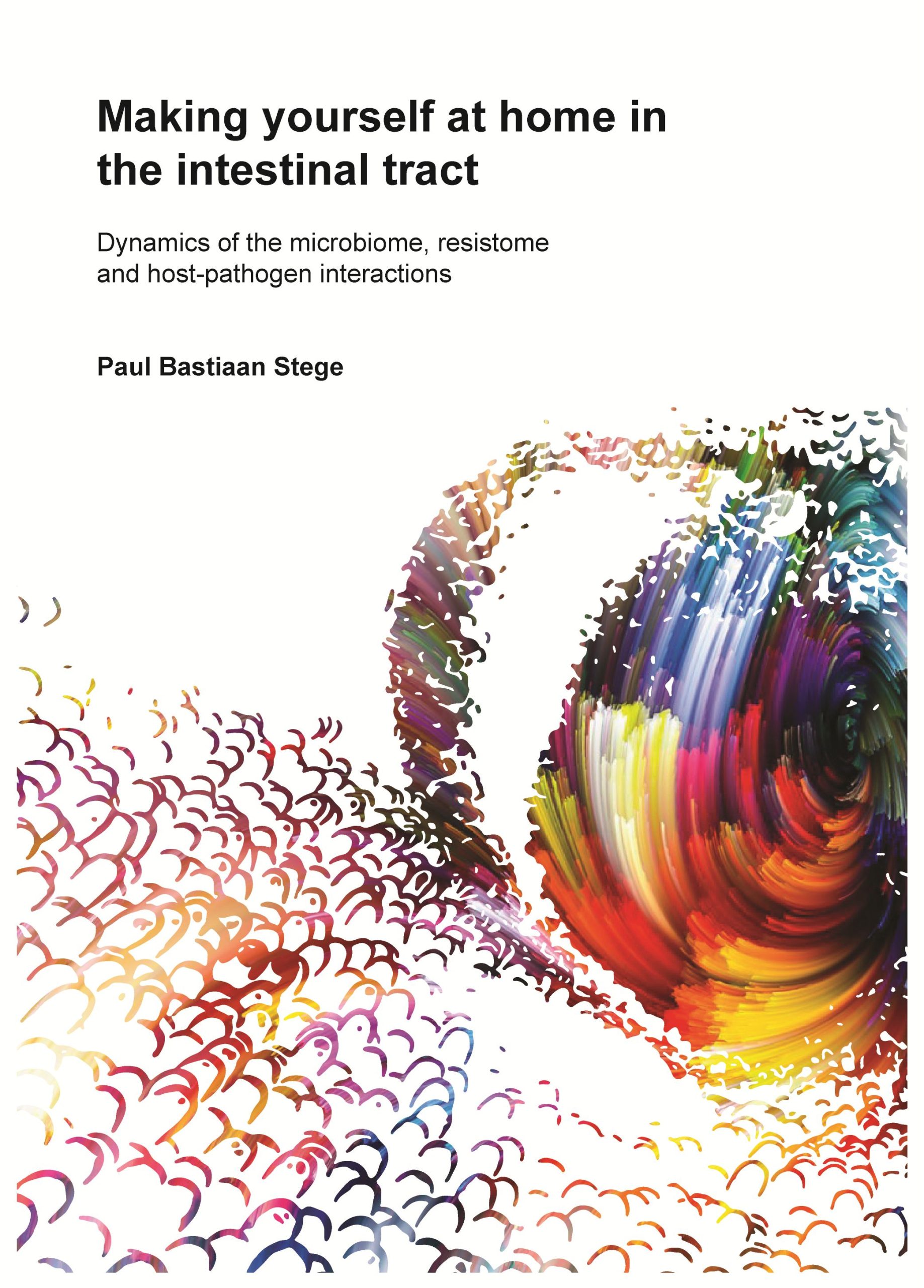 Cover dissertation Paul Stege