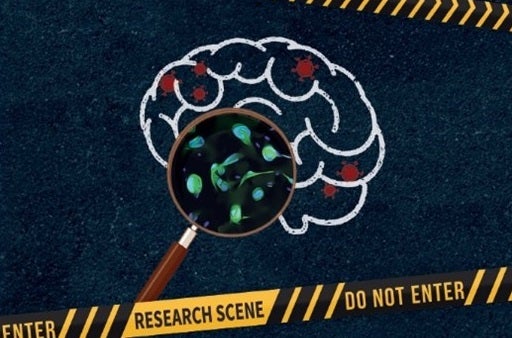 Cover dissertation Stephanie Gumbs