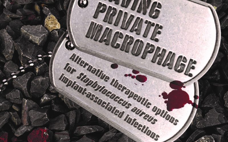 Cover dissertation Leonardo Cecotto van Strijp Weinans