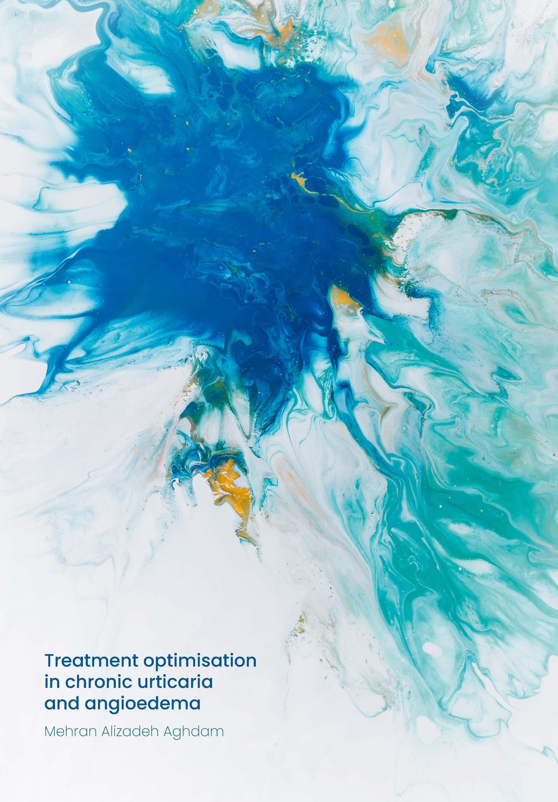 Cover dissertation Mehran Aghdam