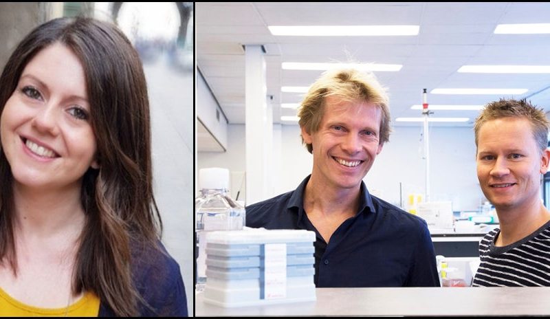 Picture of three researchers