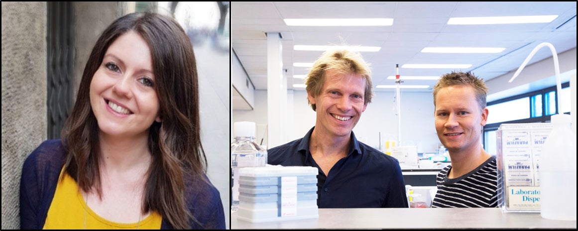 Picture of three researchers