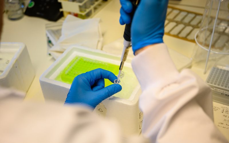 A researcher with a pippet.