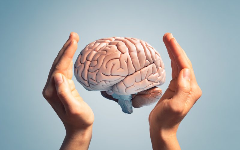 Illustration of a brain