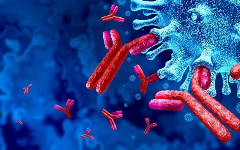 Illustration of antibodies