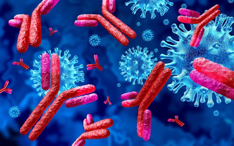 Illustration of antibodies