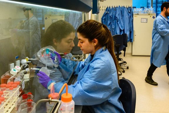 Scientist working in the laboratorium