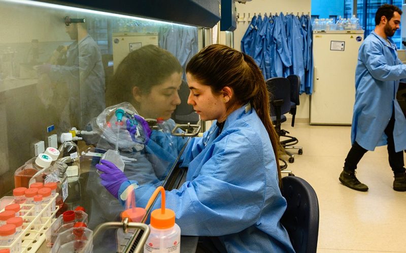 Scientist working in the laboratorium