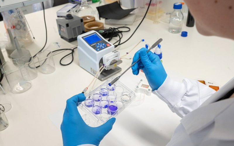 Scientist working in the laboratorium