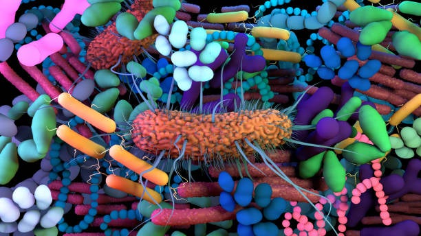 Illustration of microbes