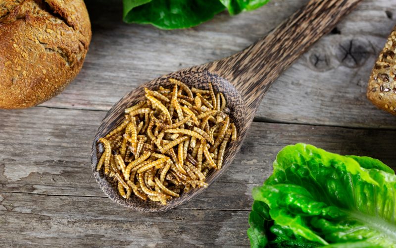 Picture of spoon with novel foods