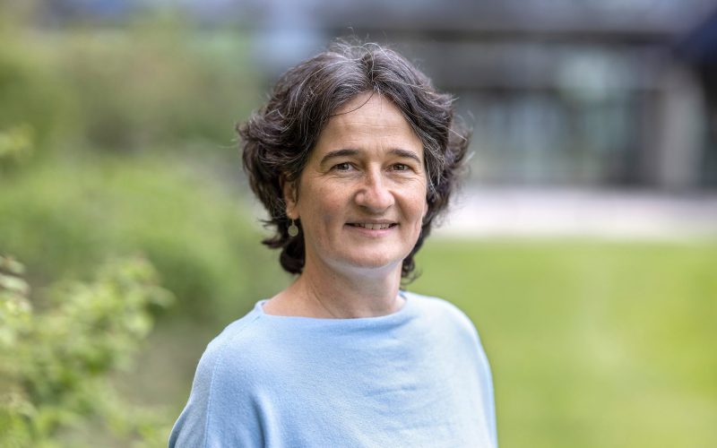 Portrait of José Borghans