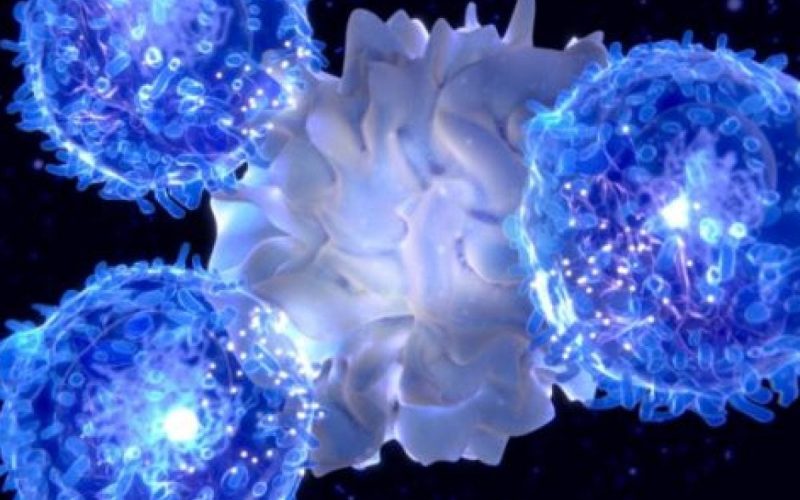 T-cells surrounding a tumor cell