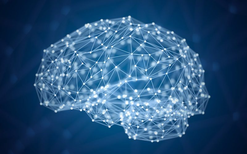 Illustration of the brain