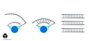 A highly specific DNA template is created when matched oligo linked Ab pairs bind to a protein Olink Proteomics