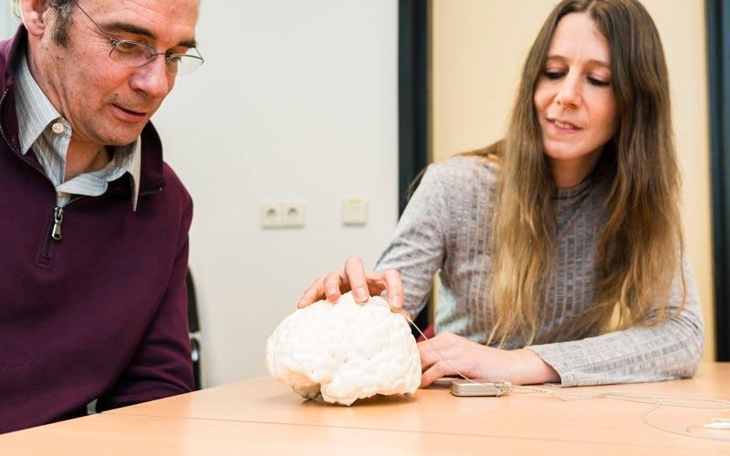 Two researchers with a brain model