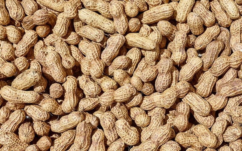 Peanuts