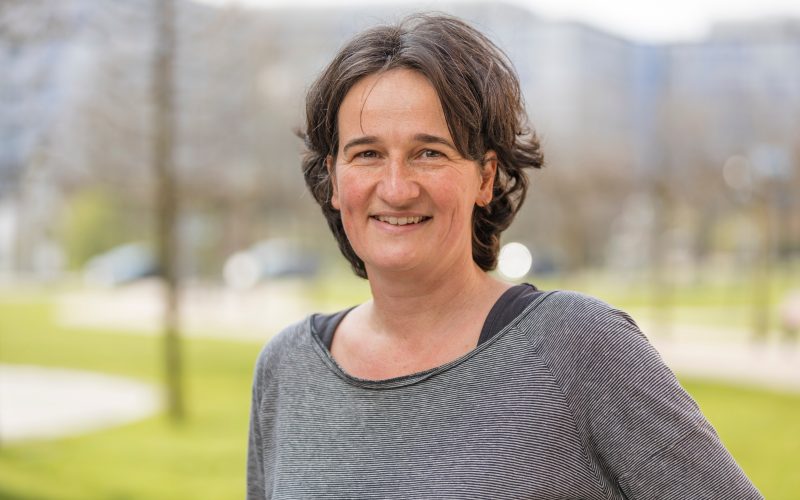 Prof. José Borghans