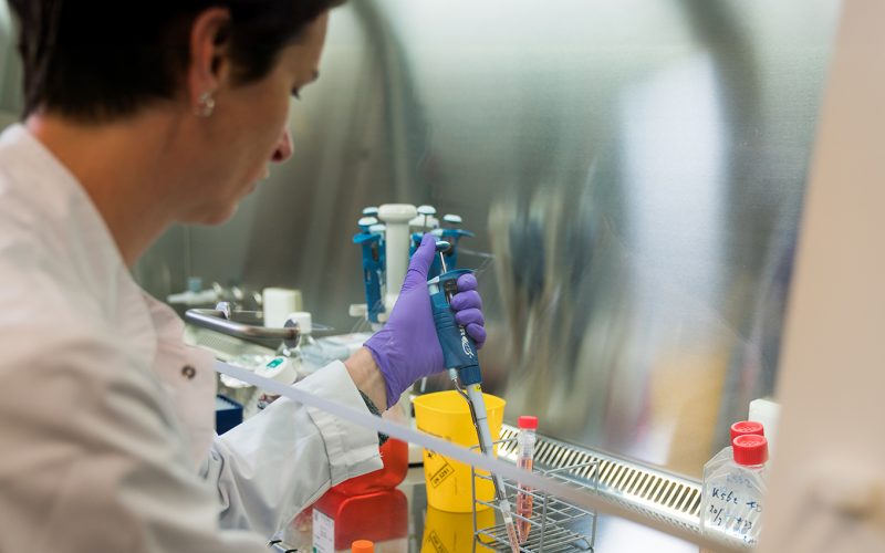 Research work in laboratory