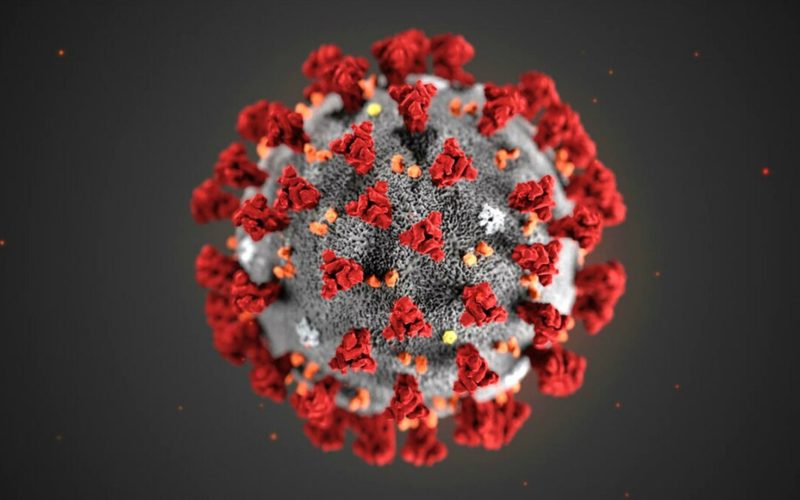 Coronavirus