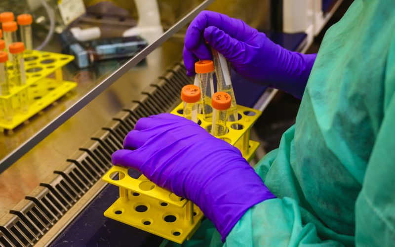 A pair of gloved hands hold a rack with test tubes.