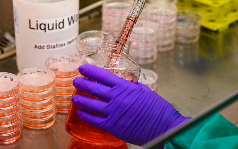 laboratorium onderzoek