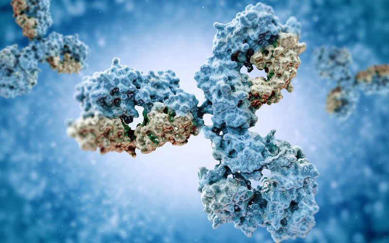 Immunoglobulin