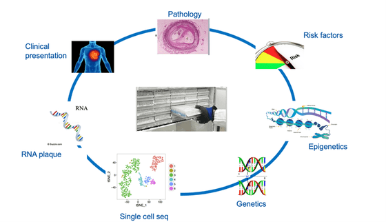 Infographic on Athero-Express: a circle with all aspects of the study. Starting at the top, clockwise: Pathology, Risk factors, Epigenetics, Genetics, Single cell seq, RNA plaque, Clinical presentation.
