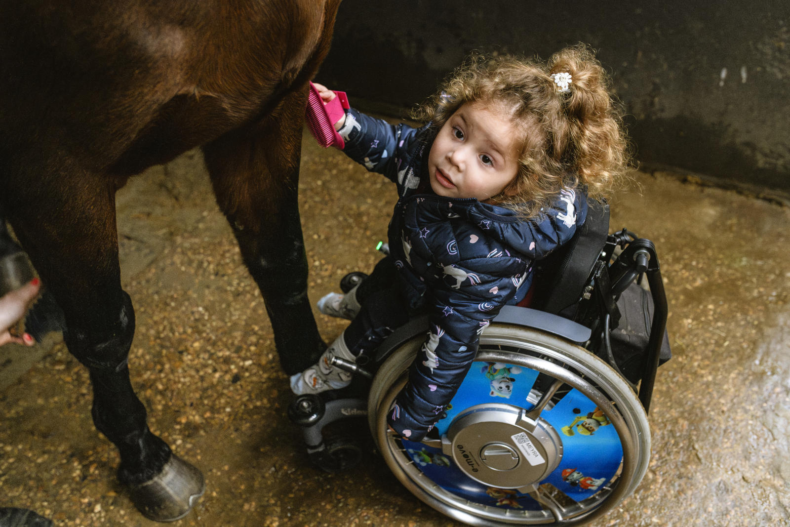 Elena in a wheelchair with her parents' horse.