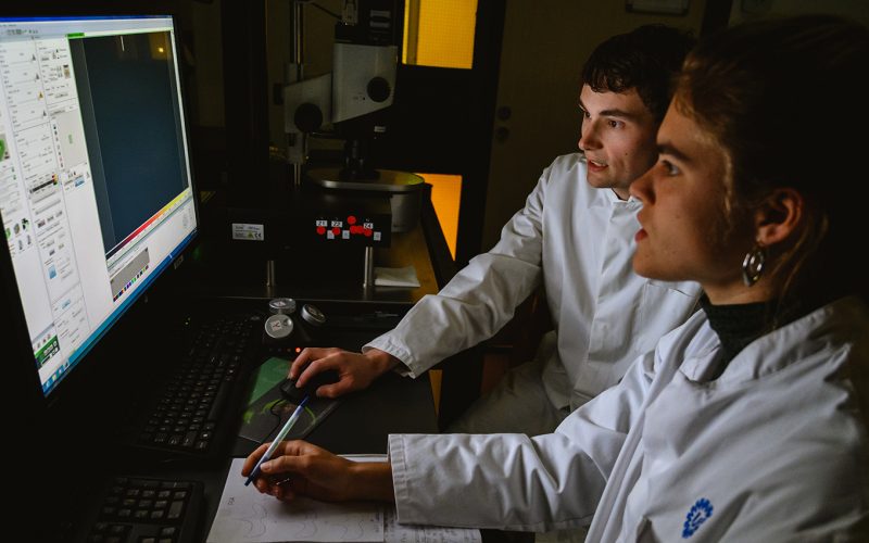 Researchers looking at images on a computer screen