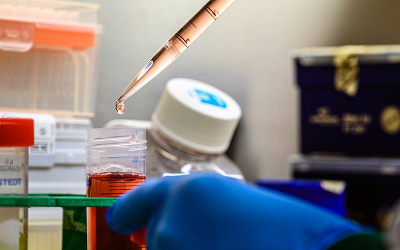 Pipet druppelt vloeistof in buis