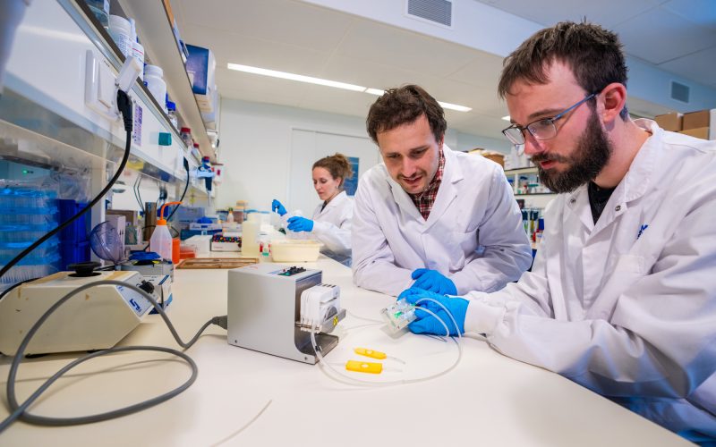 Nefrologie lab