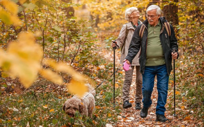 Older couple hiking in the woods with their dog
