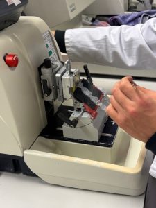 Microtome Leica