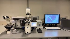 Zeiss PALM MicroBeam 4