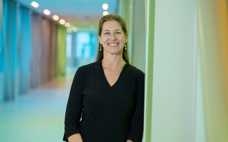 Inaugural lecture, Professor Hanneke van Santen