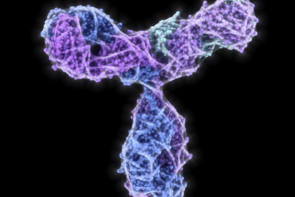 Utrecht Monoclonal Antibody Facility (UMab)