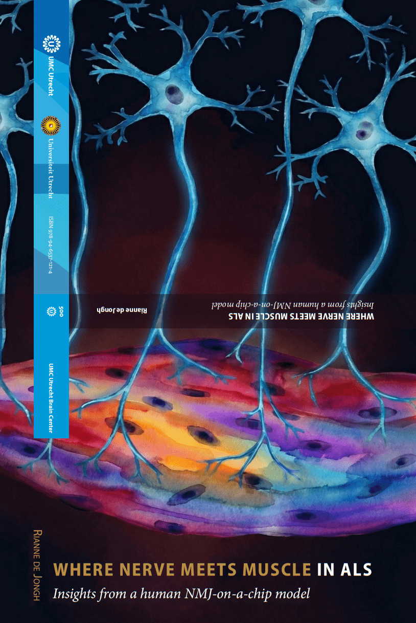 The cover of Rianne de Jongh's thesis, entitled 'Where nerve meets muscle in ALS', bearing the number 500.